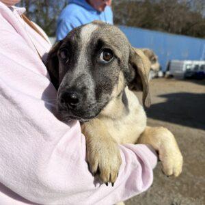 Stacy — thumbnail 3