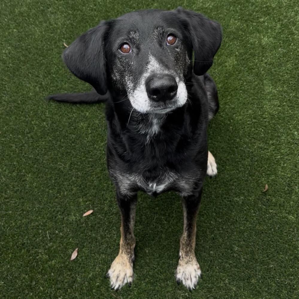 Gopher 3583 — thumbnail 3