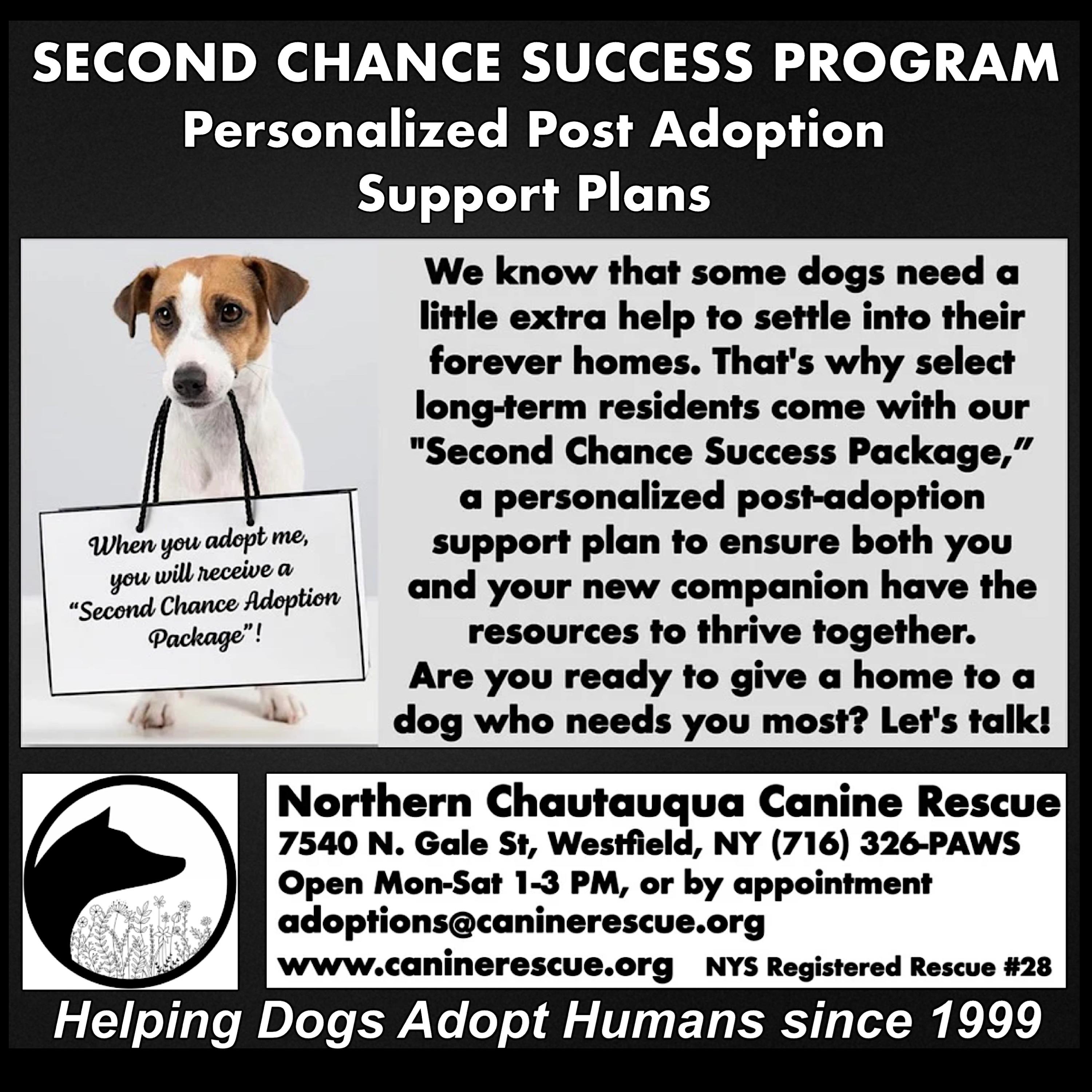 Enlarge Pica, a Adoptable mixed breed in Westfield, NY image 3/6