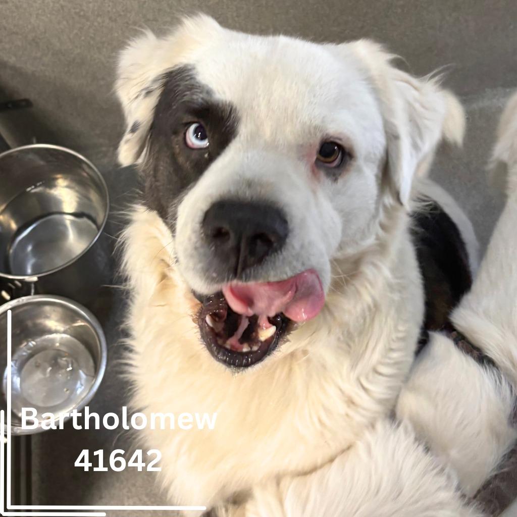 Bartholomew and Issachar