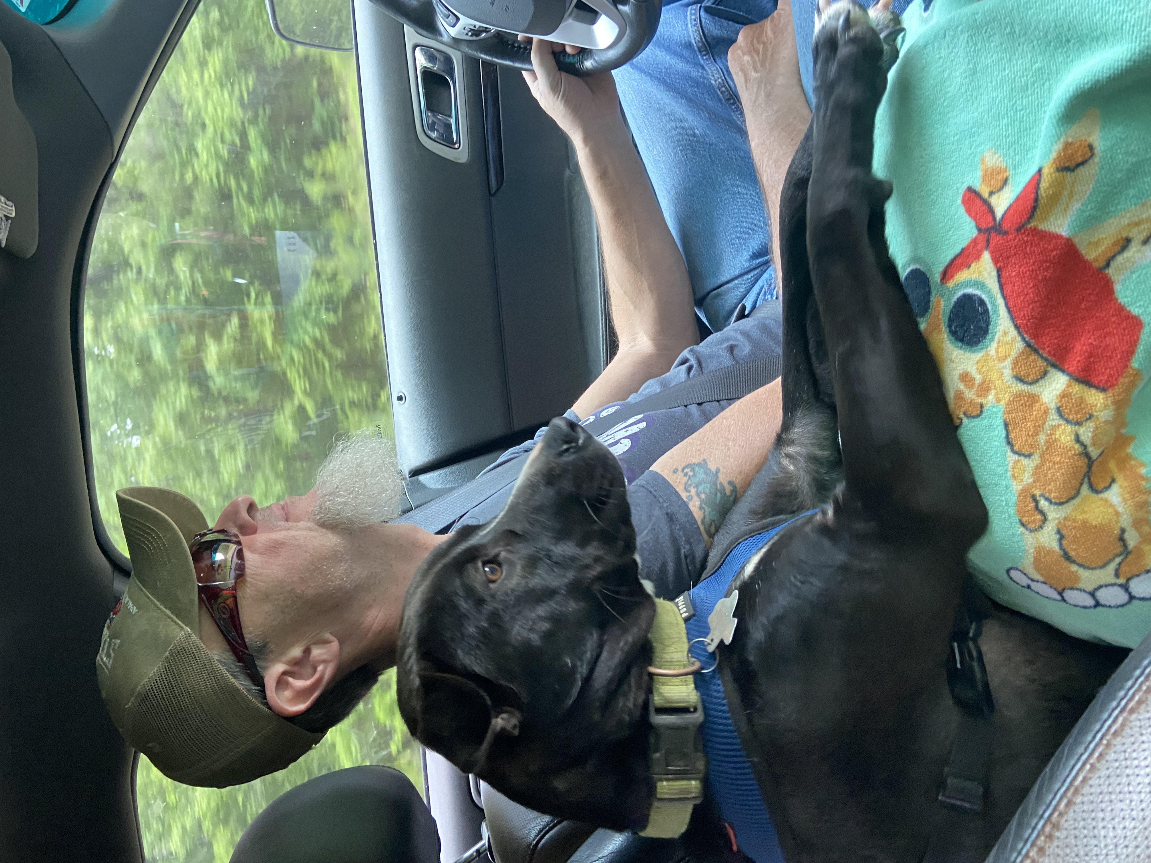 Enlarge Woodstock, a Adopted mixed breed in Jefferson, TX image 4/6