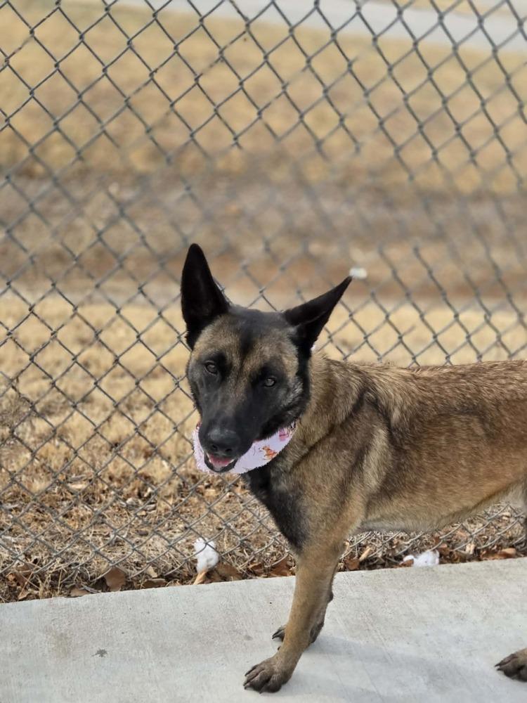 Jesse - Located in NM — thumbnail 2