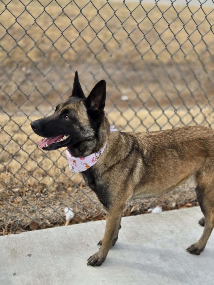 Jesse - Located in NM — thumbnail 3