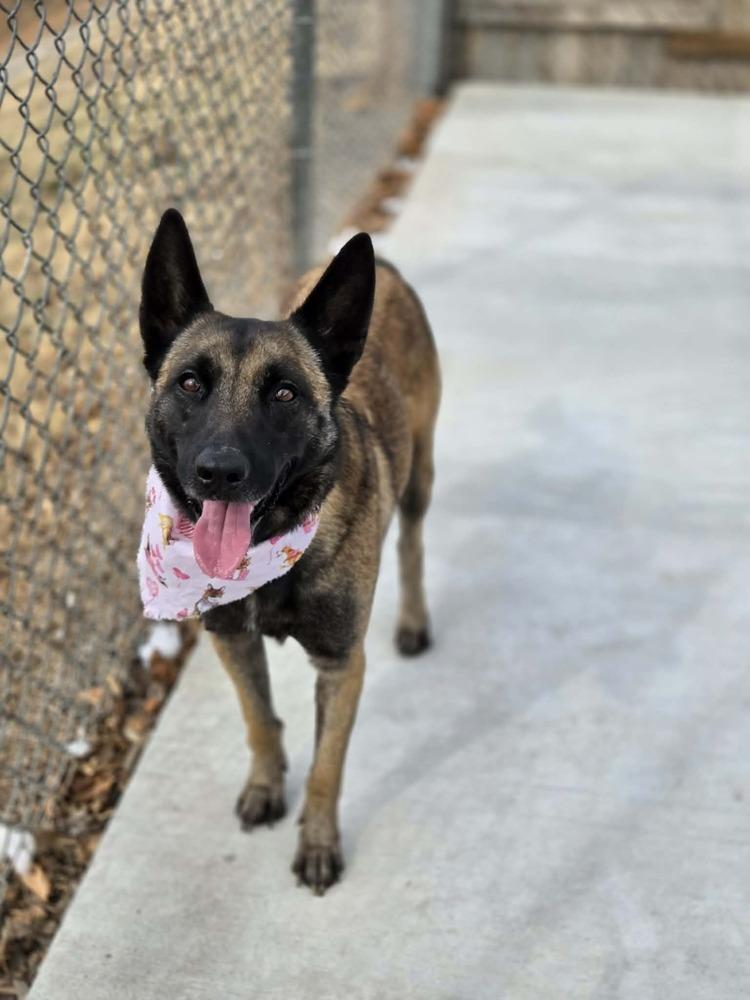 Jesse - Located in NM — thumbnail 4