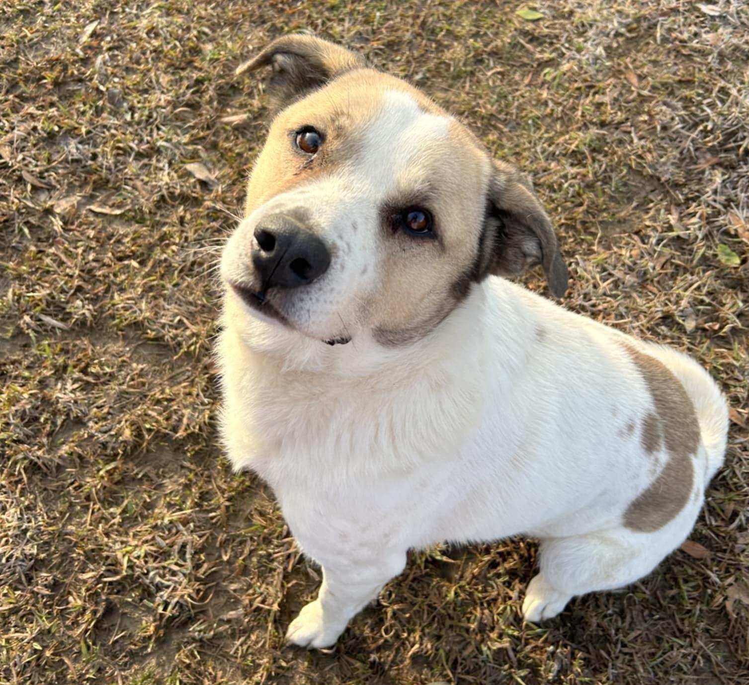 Max