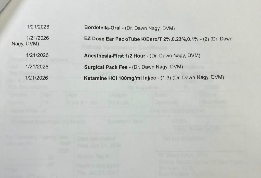 Millie — thumbnail 5