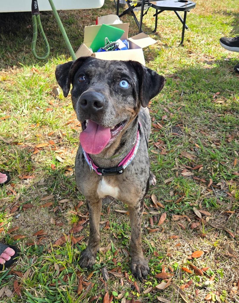 Millie — thumbnail 6