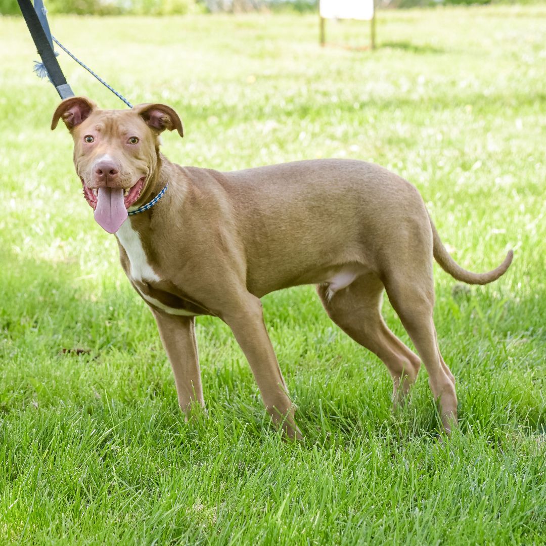 Clyde - CTS2025, Young Male unknown
