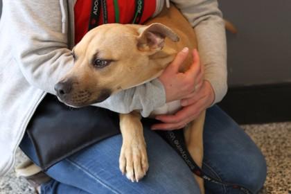 McDreamy — thumbnail 2