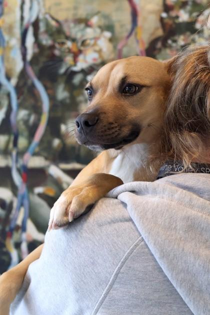 McDreamy — thumbnail 3