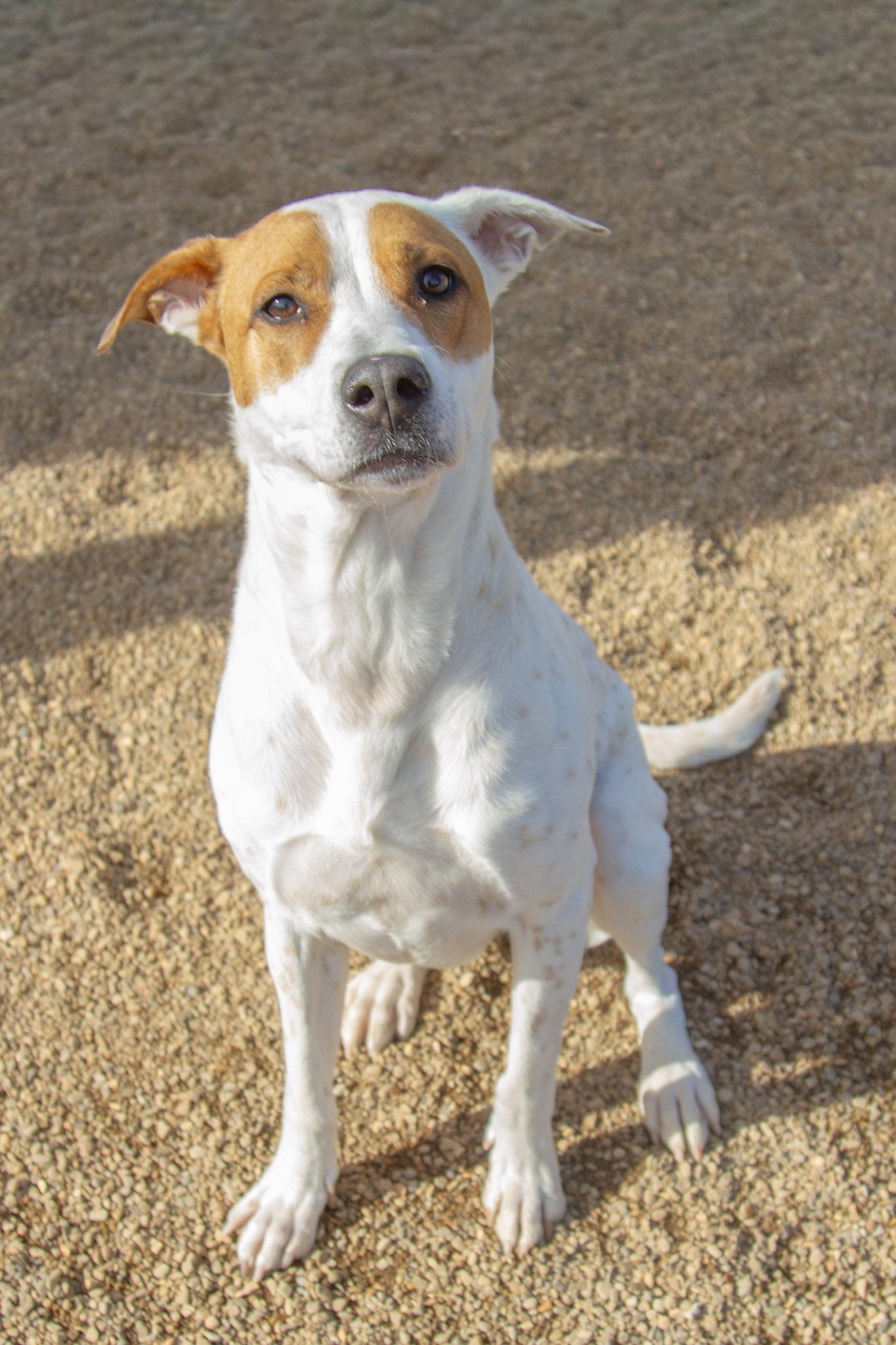 Luna — thumbnail 3