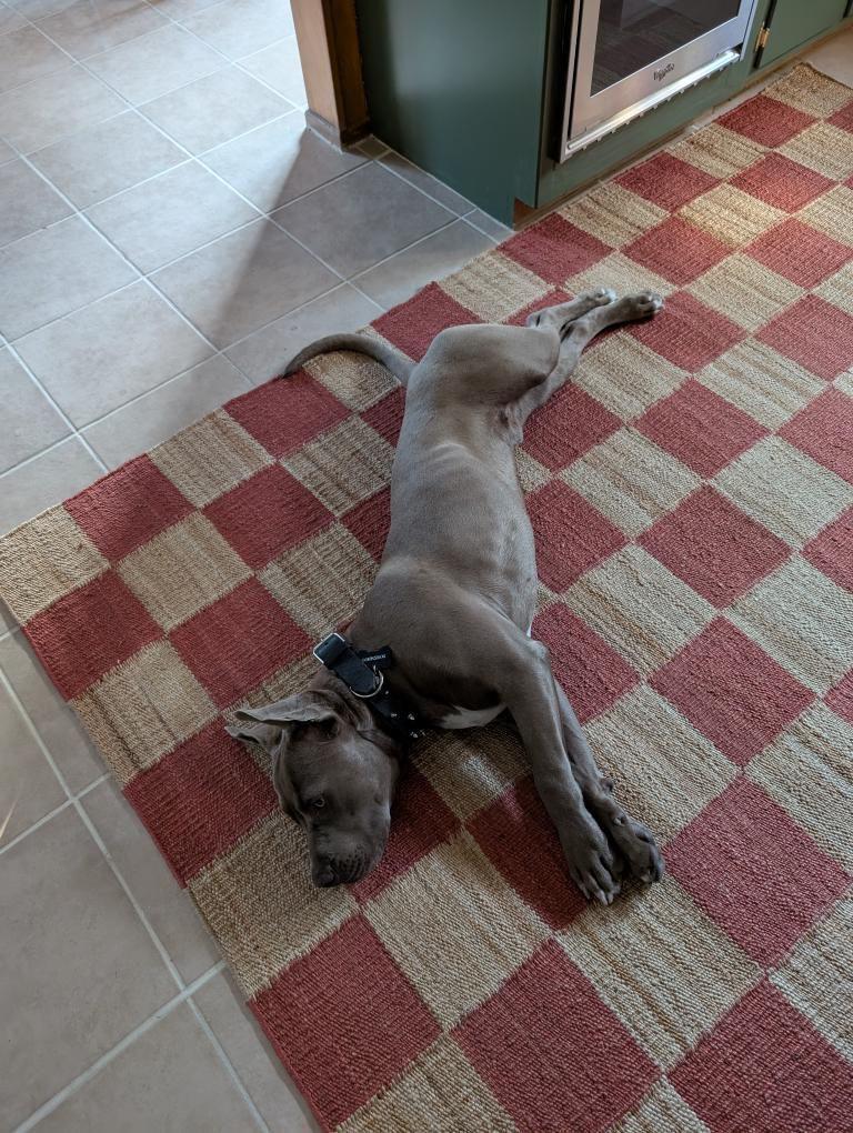 Bubu