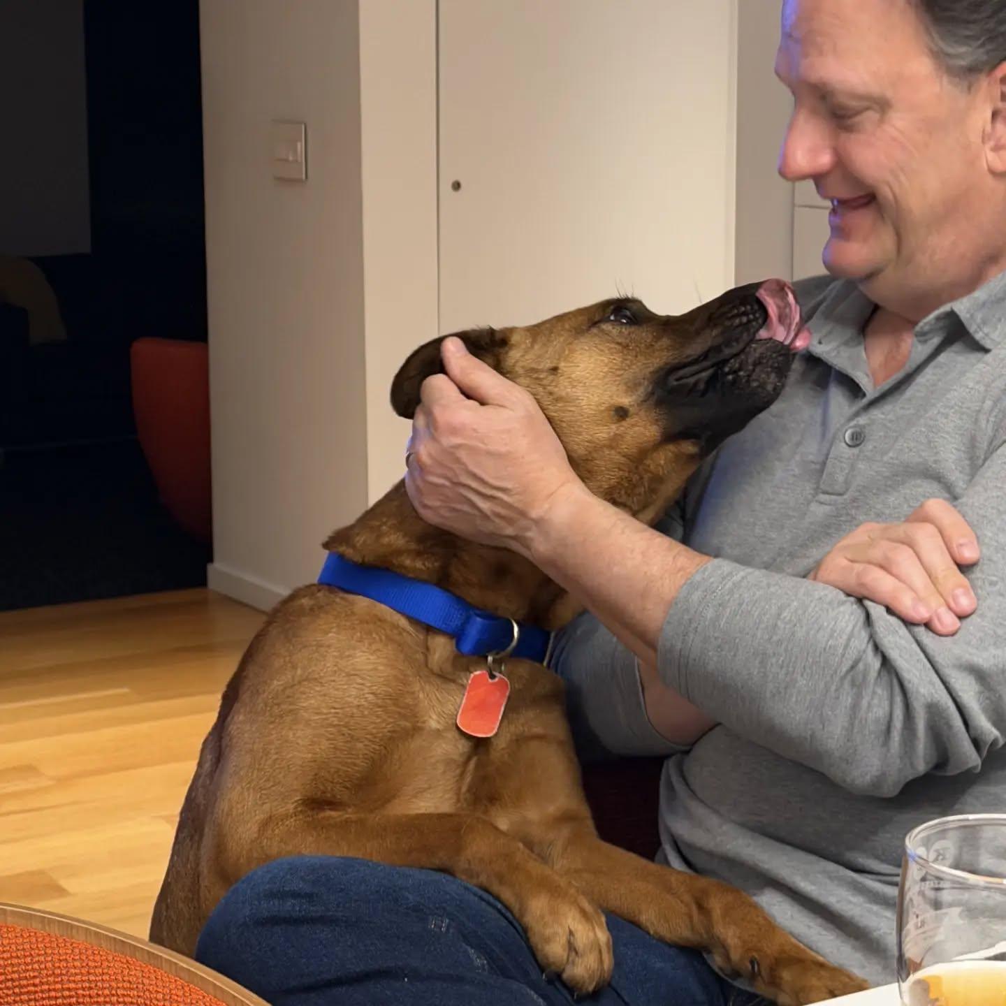 Scooby - AVAILABLE TO FOSTER OR ADOPT, a ADOPTABLE mixed breed in Clayton, NC image 5/6