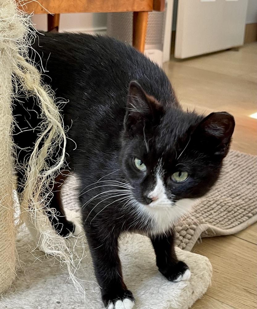 Eeny — thumbnail 2