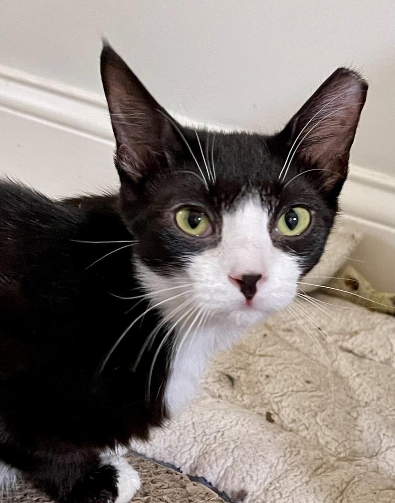 Eeny — thumbnail 4