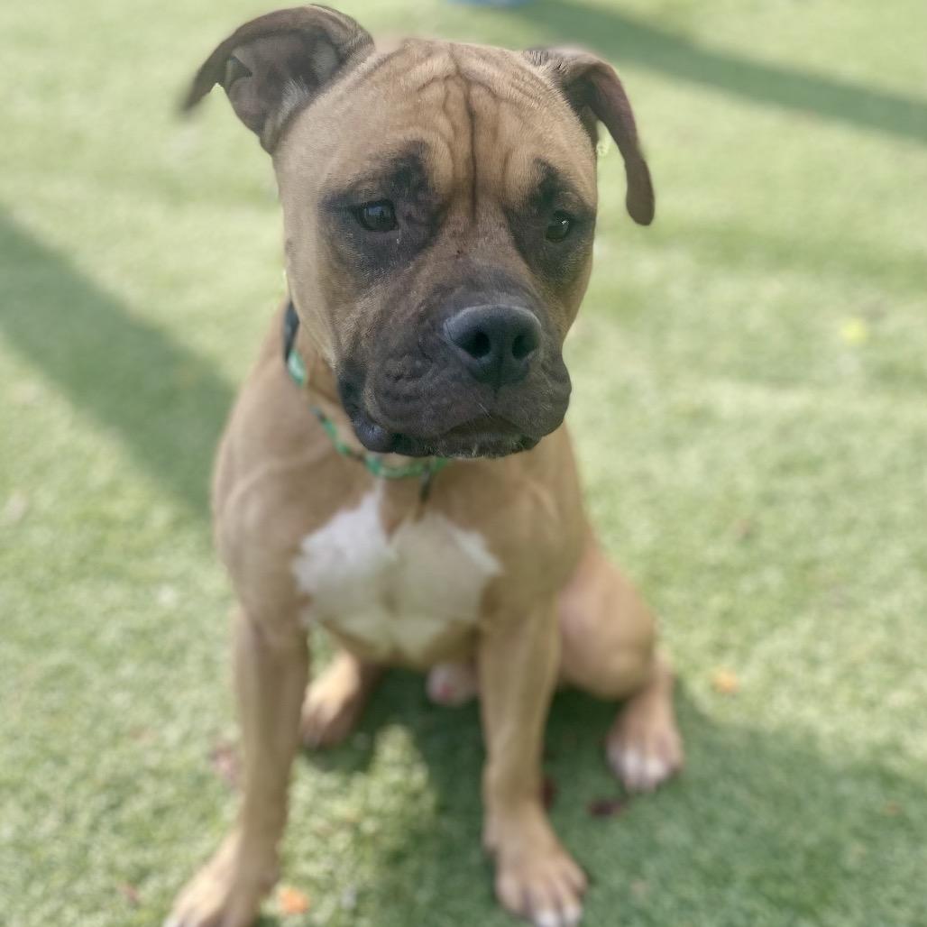 Zuko photo
