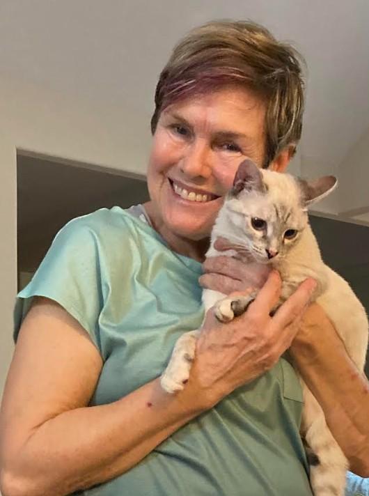 Enlarge Lilac, an adopted mixed breed in Hampstead, NC image 1/6