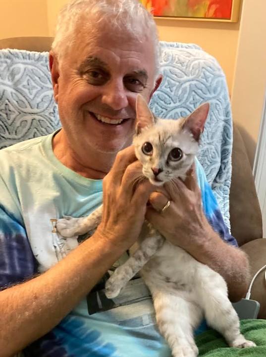 Enlarge Lilac, an adopted mixed breed in Hampstead, NC image 2/6