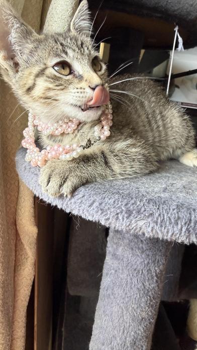 Hope — thumbnail 4