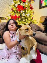 Nika, a Adopted mixed breed in Austin, TX image 3/5