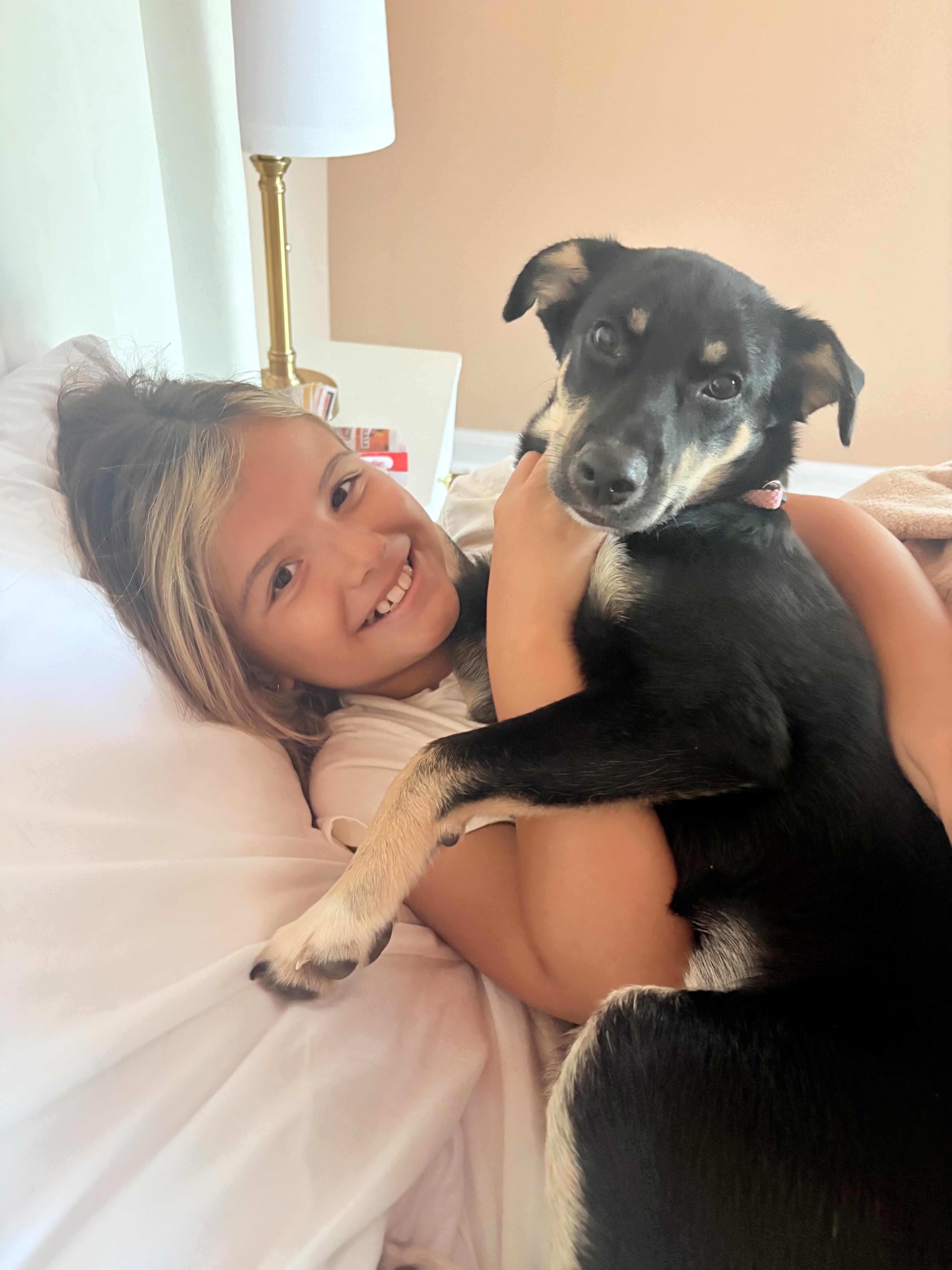 Enlarge Aspen has been Adopted!, a Adoptable mixed breed in Randolph, NJ image 1/6