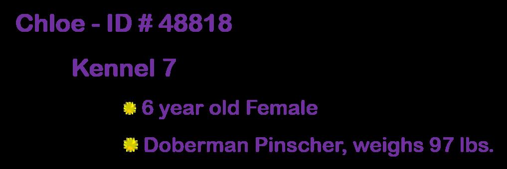Enlarge Chloe, a ADOPTABLE mixed breed in Suffolk, VA image 2/2