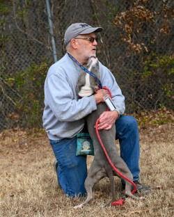 DA 27 Velma, a Adoptable Terrier in Glen Allen, VA image 2/3