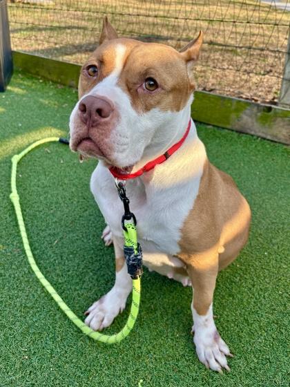 Katrina — thumbnail 2