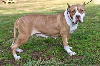 Katrina — thumbnail 3