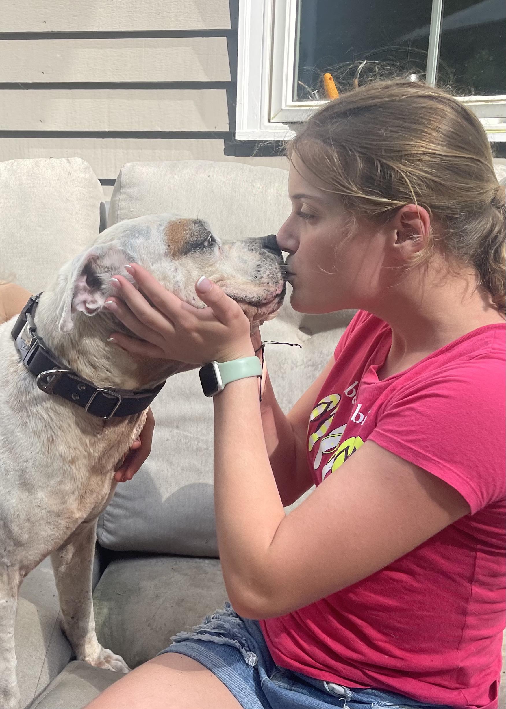 Enlarge Milo, a Adopted mixed breed in Ridgefield, CT image 4/6