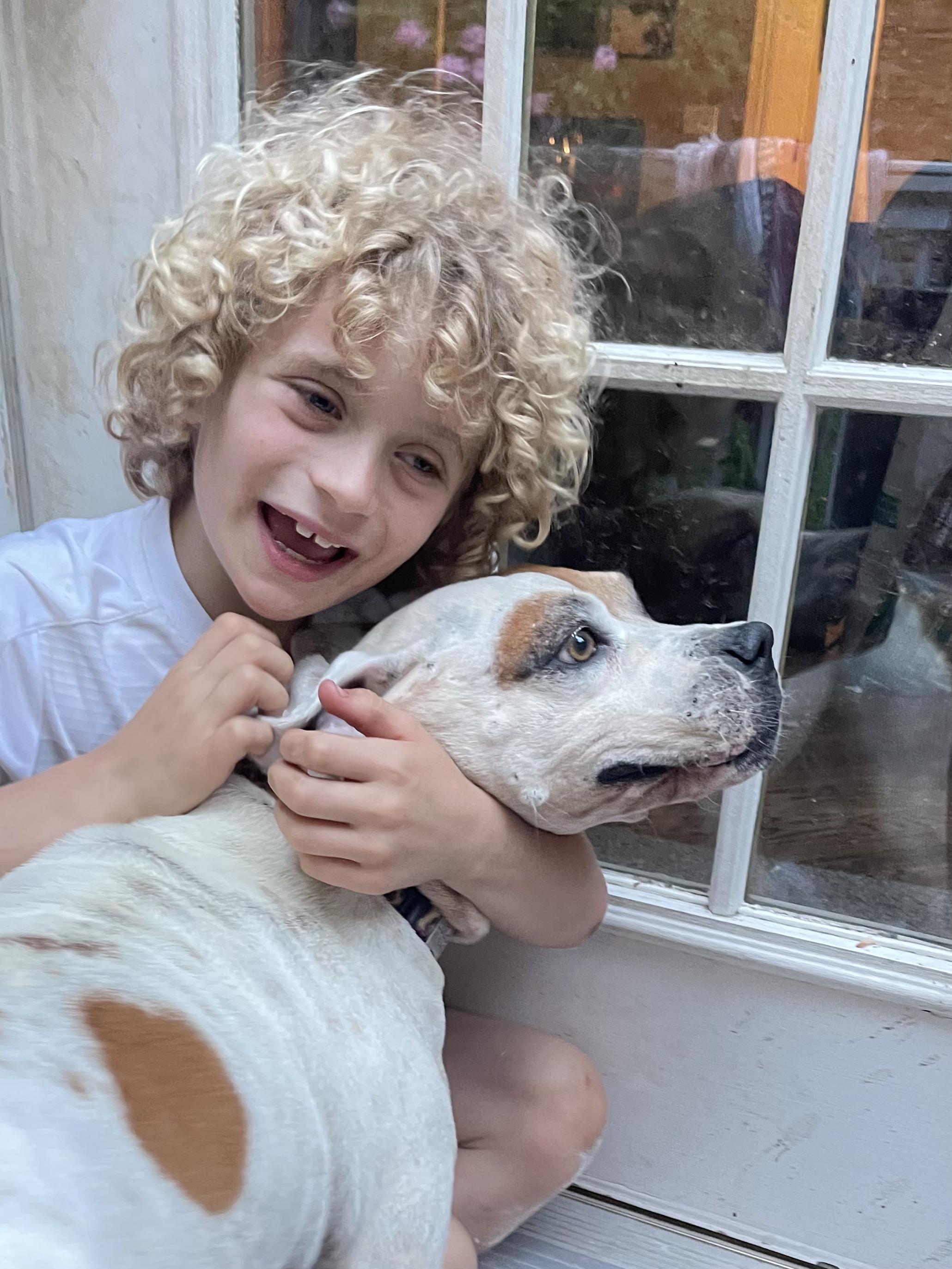 Enlarge Milo, a Adopted mixed breed in Ridgefield, CT image 1/6