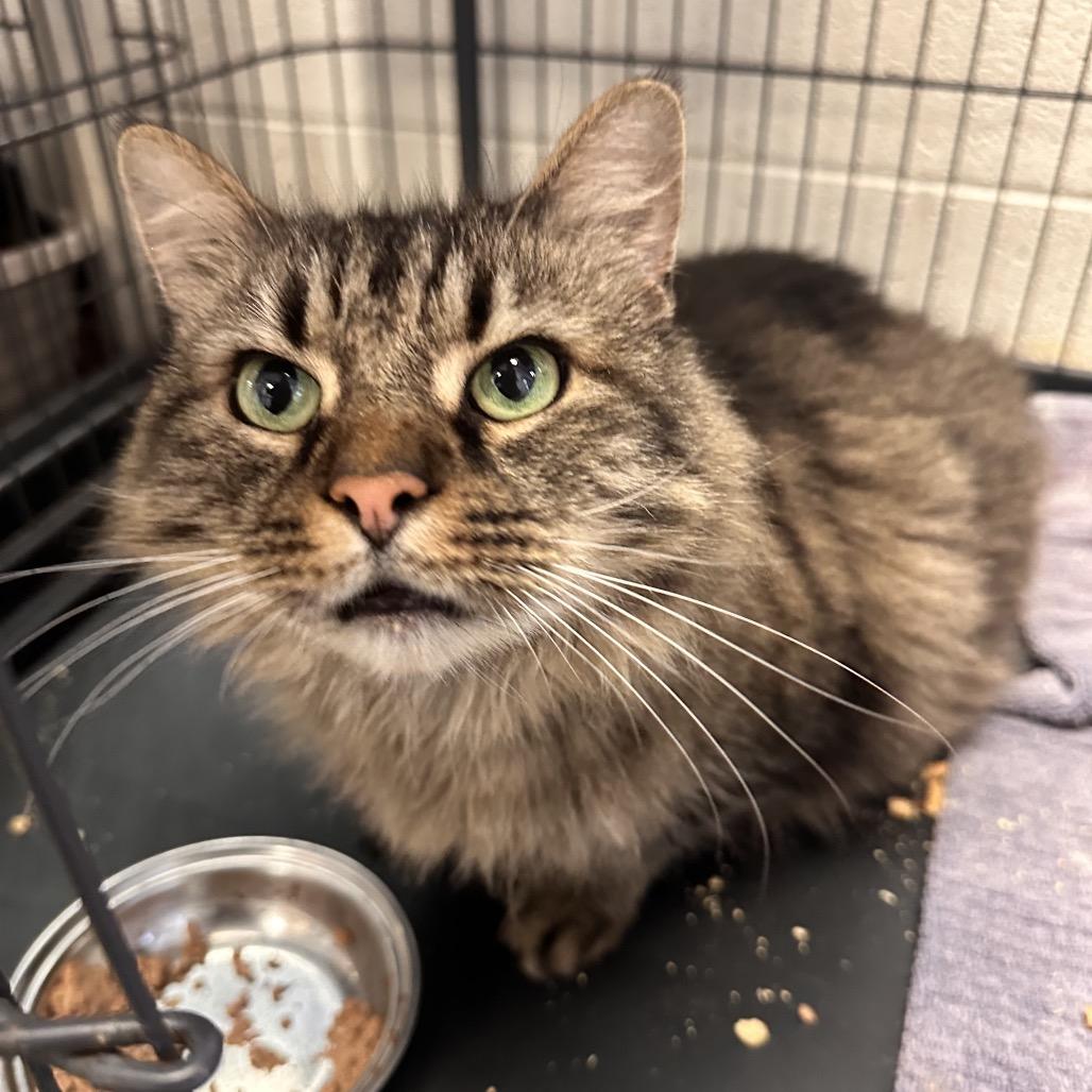 Sammy — thumbnail 2