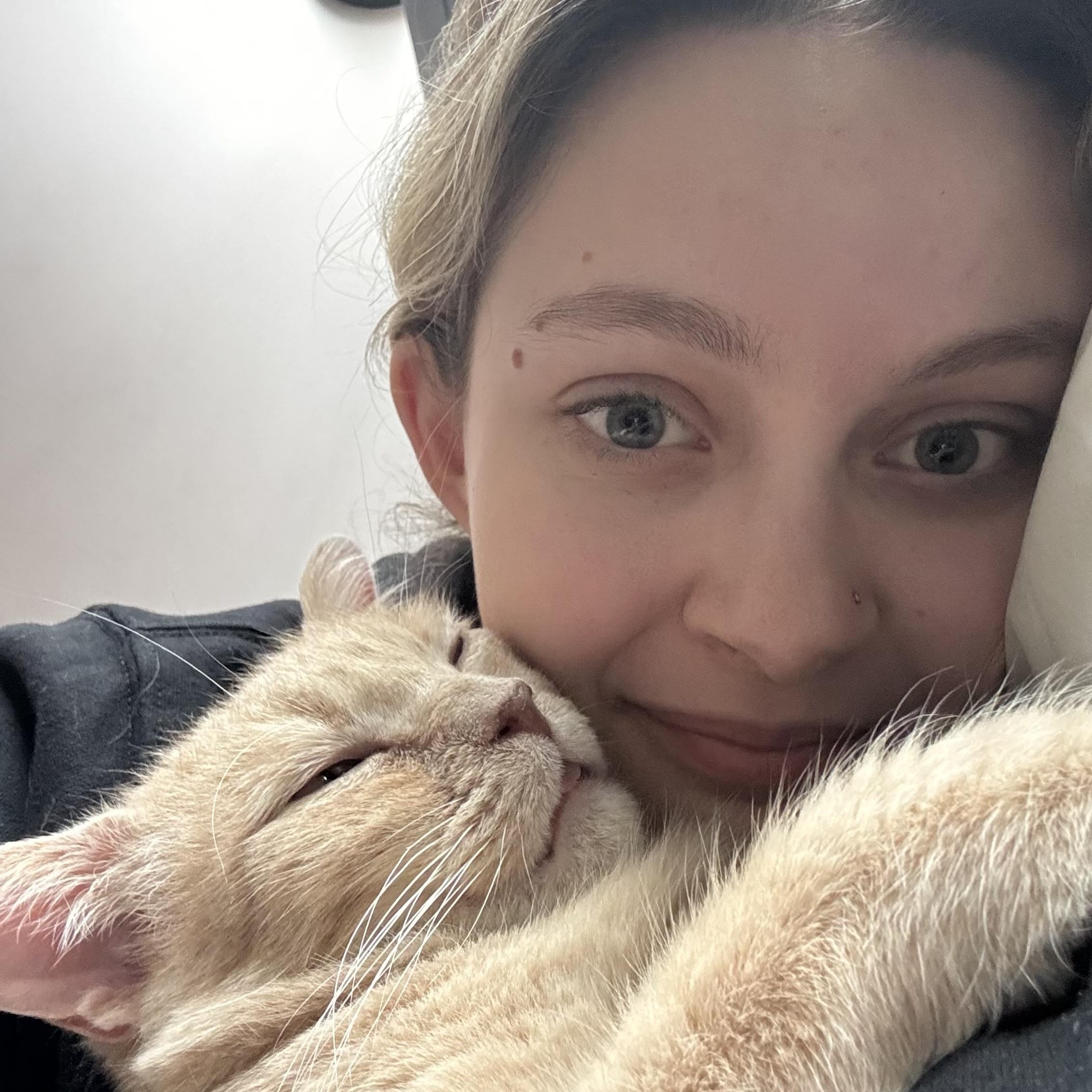 Darryl, a Adoptable mixed breed in Glenmont, NY image 2/5