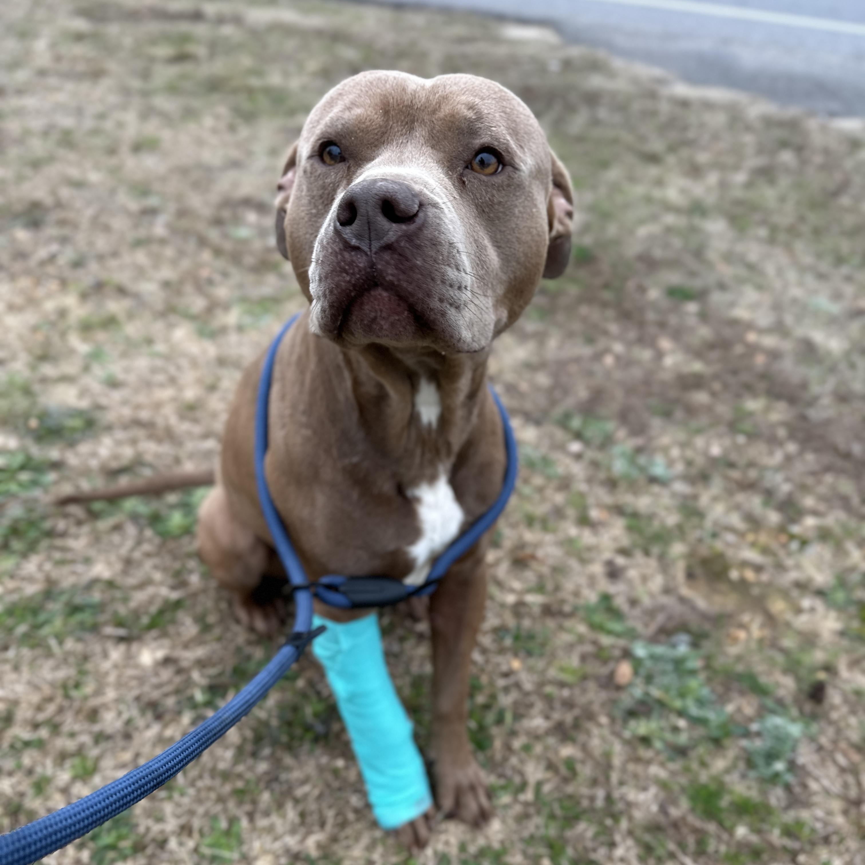 St. Luke — thumbnail 2