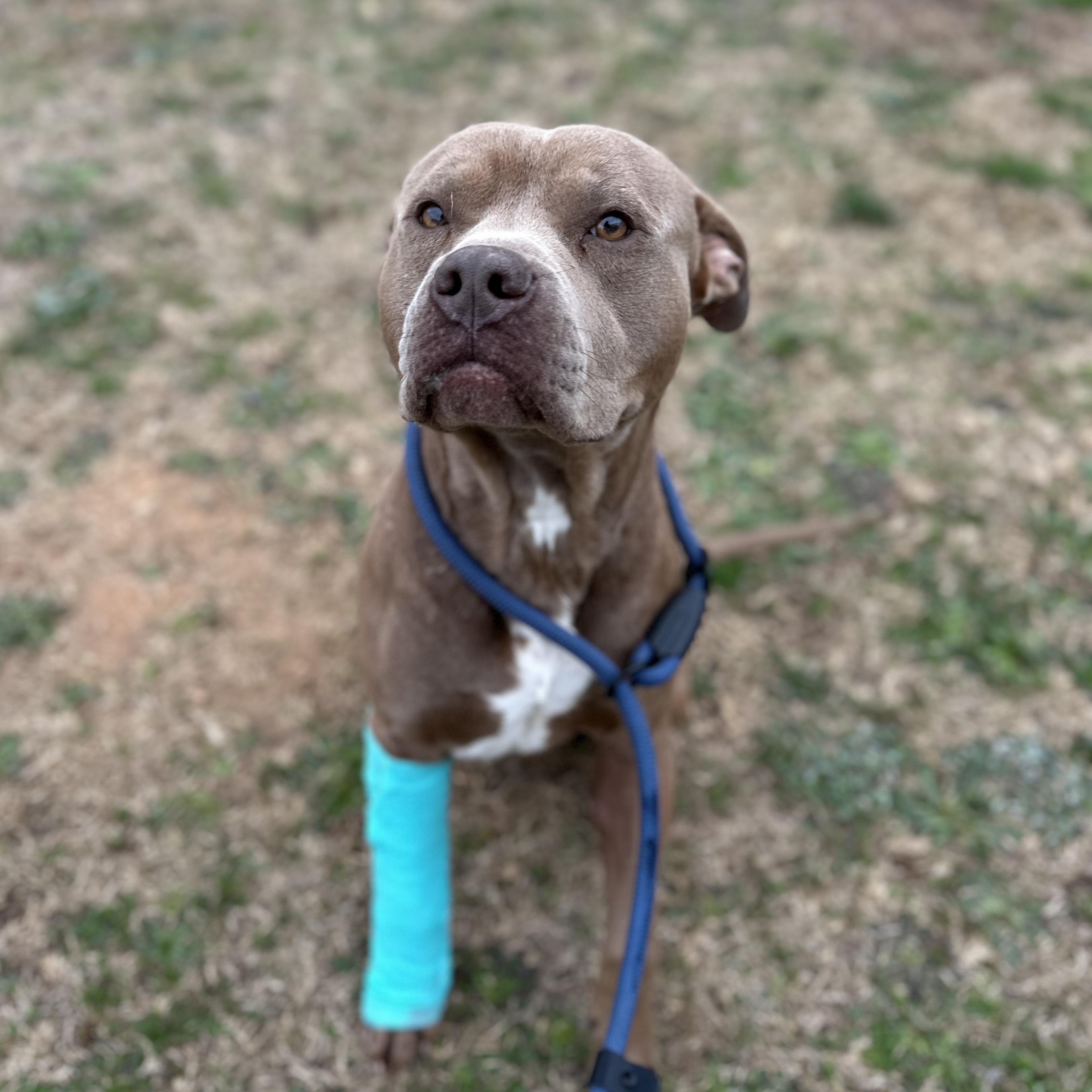 St. Luke — thumbnail 3