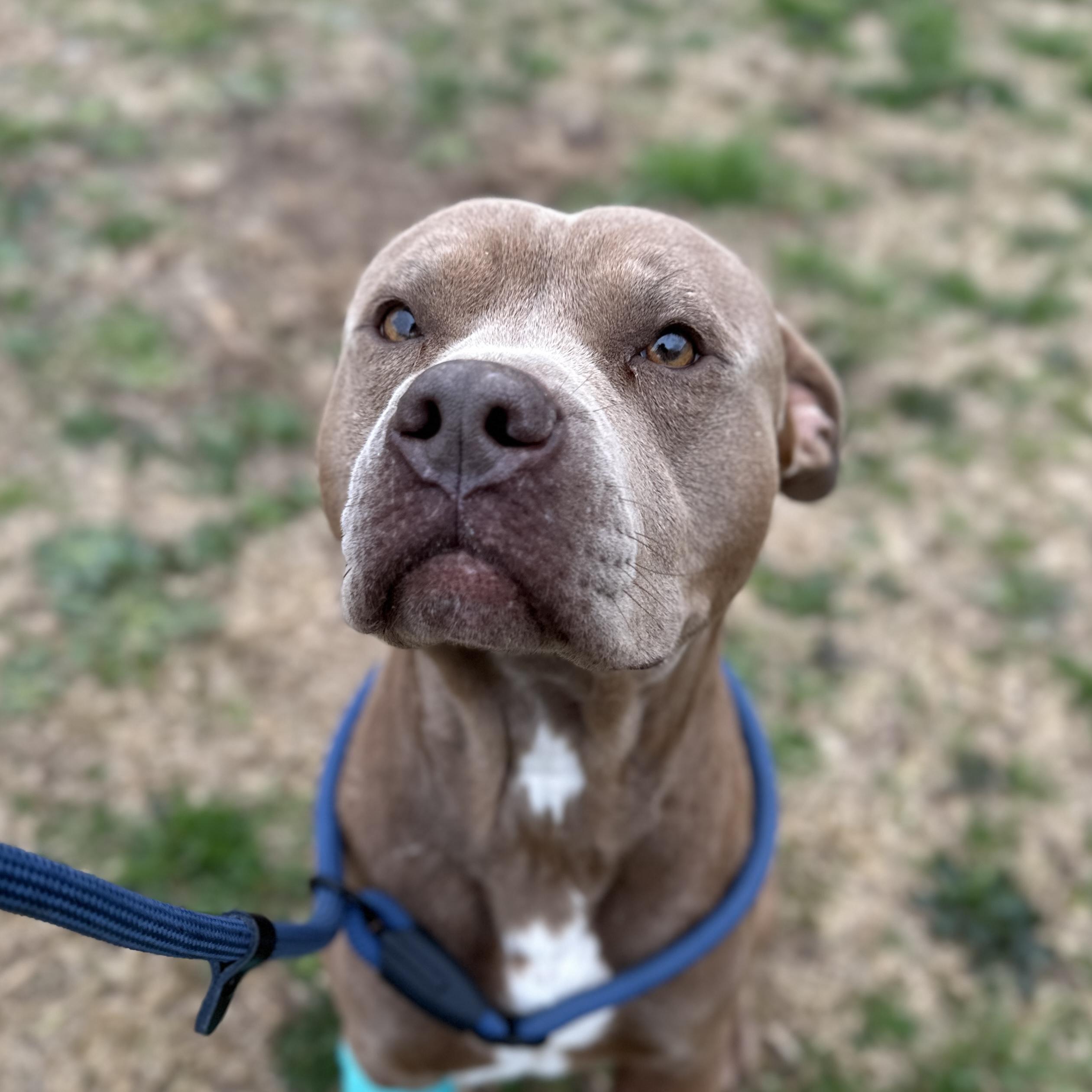 St. Luke — thumbnail 4