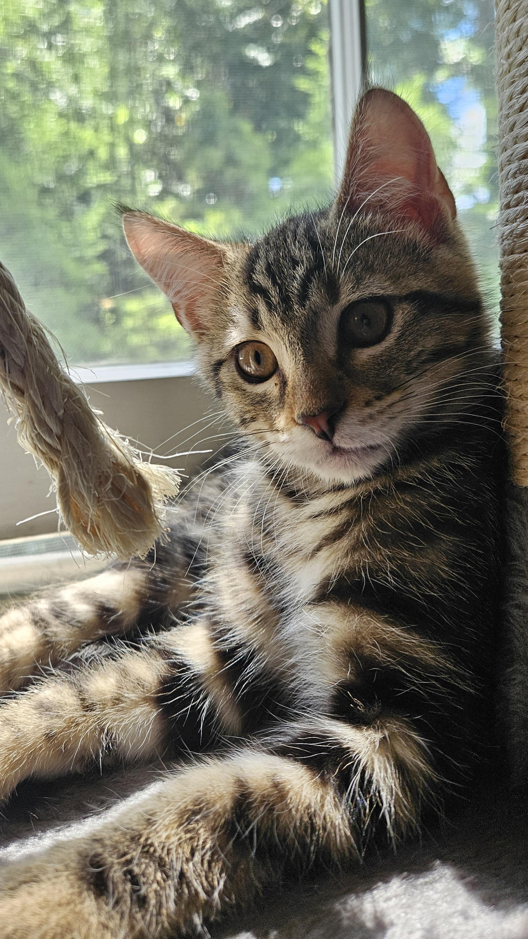 Fonzie photo 2