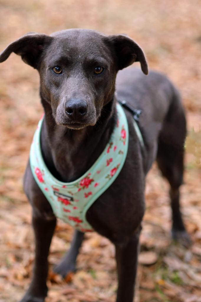 April — thumbnail 4