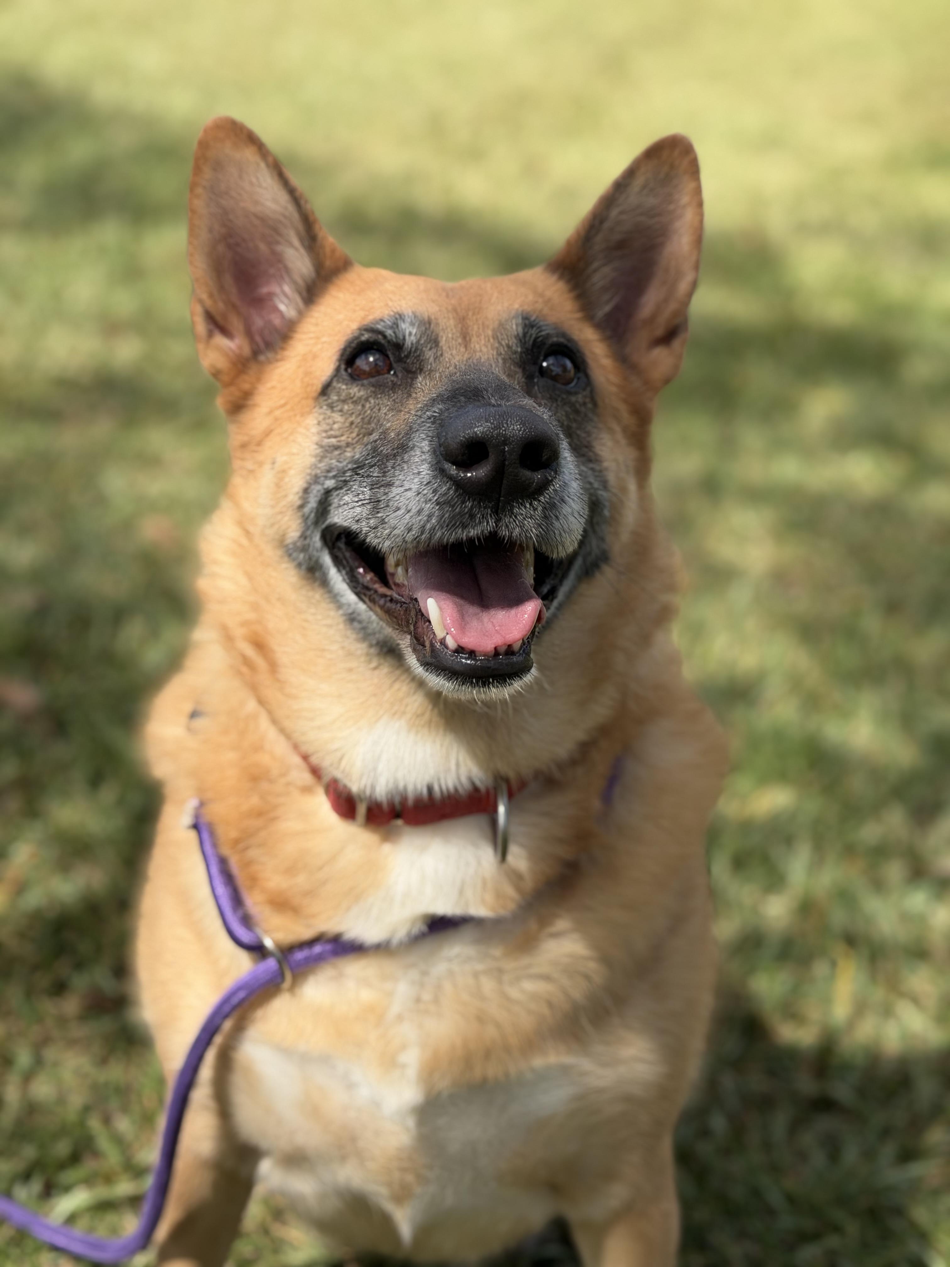 Miss Sally photo