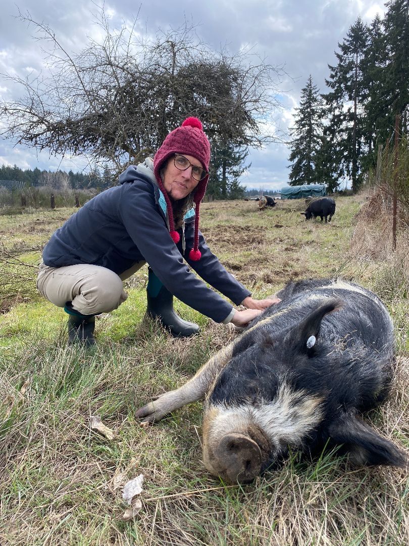 Enlarge Sukie, a Adoptable mixed breed in Roy, WA image 1/2