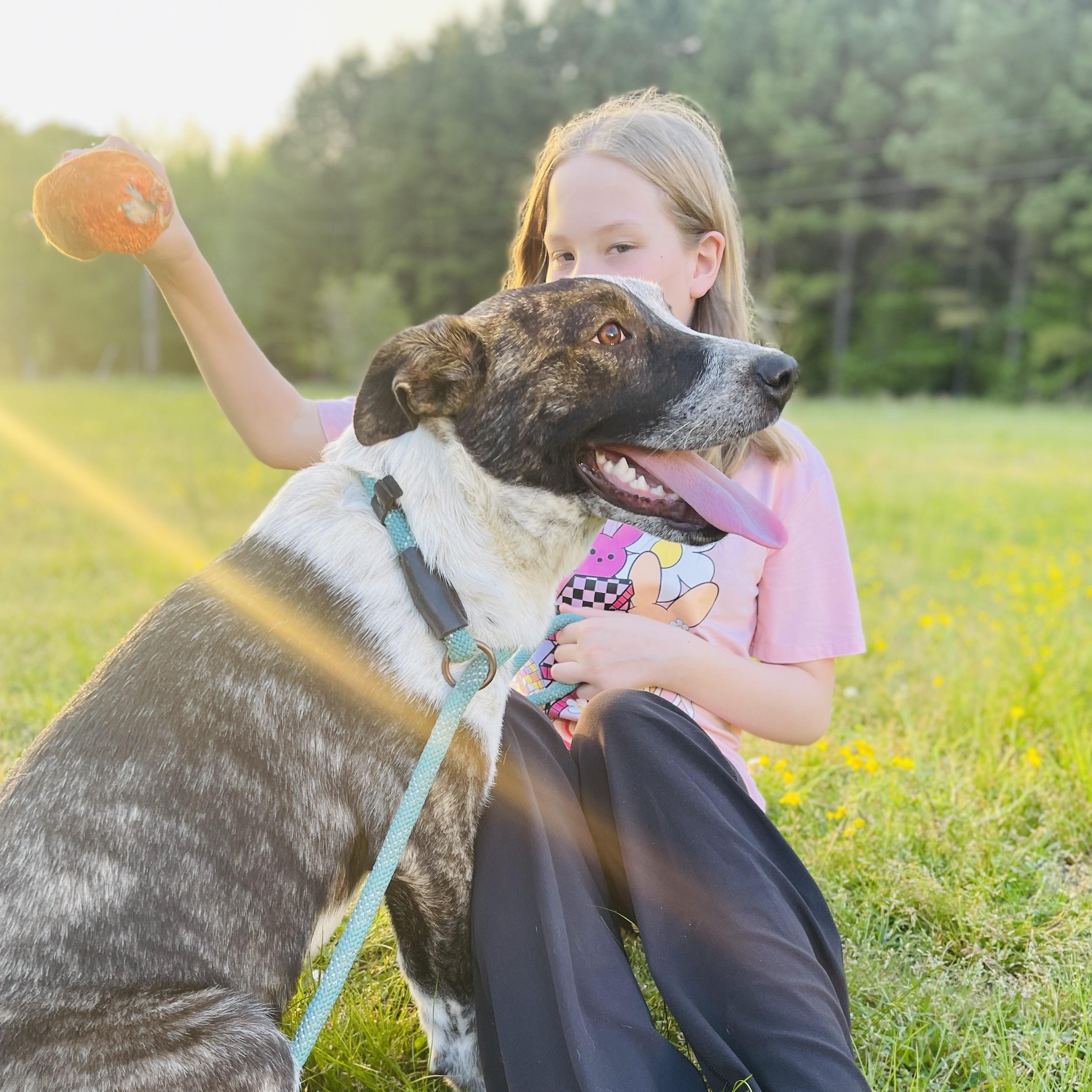 Enlarge Mary Kate *SPONSORED FEE*, a Adopted mixed breed in Sharon, VT image 5/5