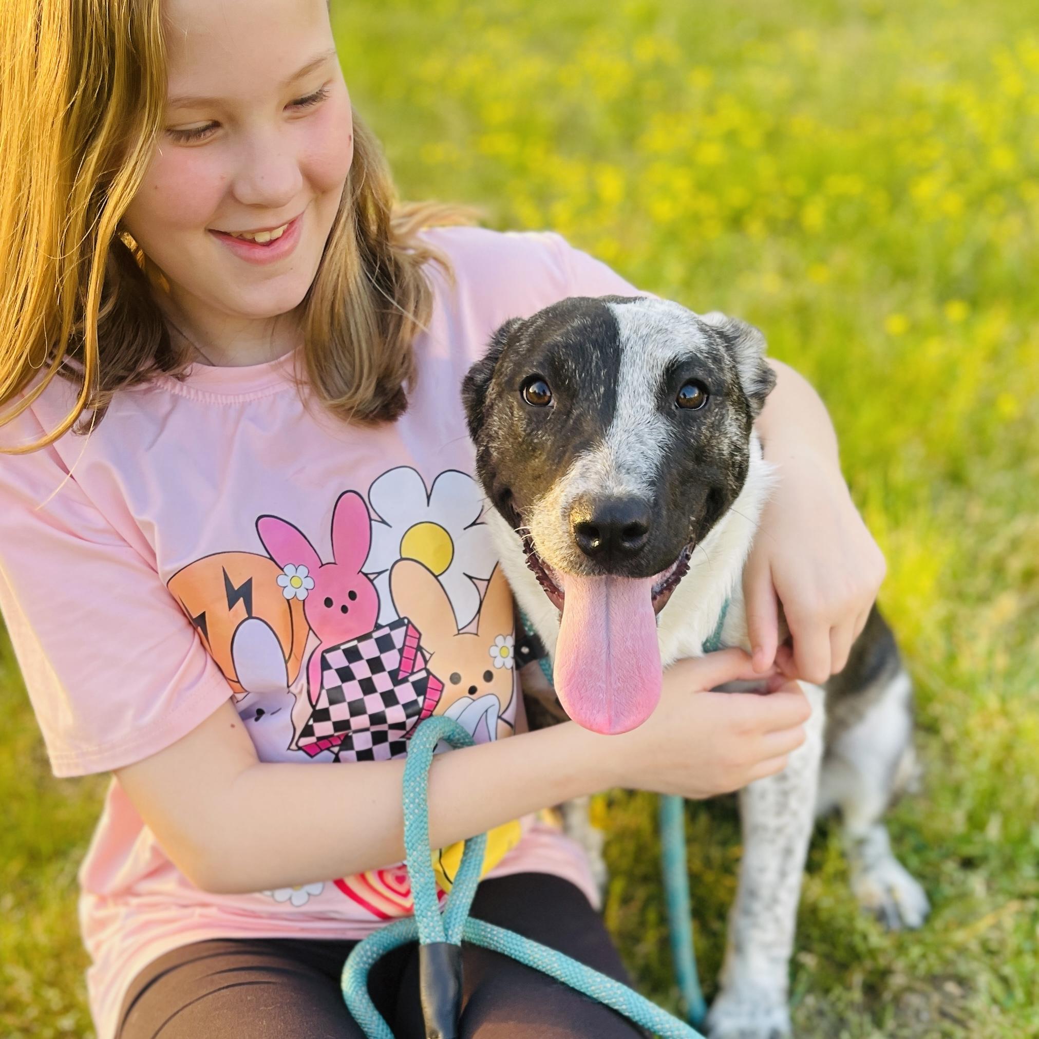 Enlarge Mary Kate *SPONSORED FEE*, a Adopted mixed breed in Sharon, VT image 1/5