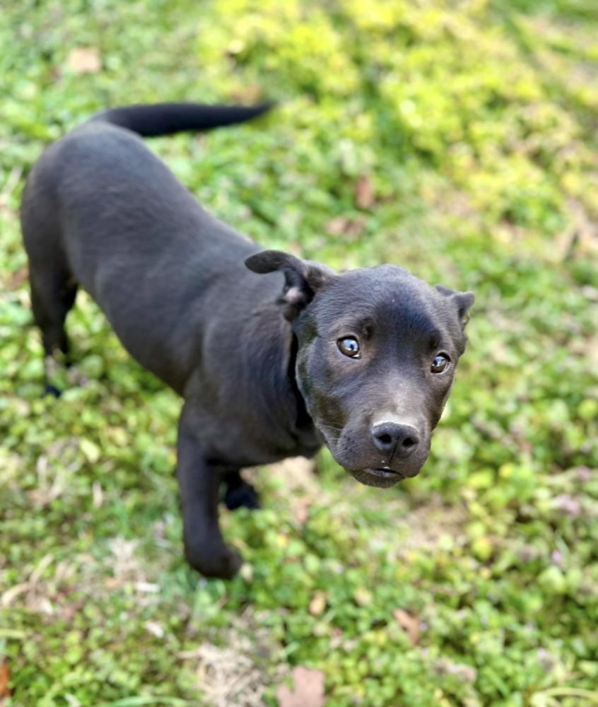 Zoey Golden — thumbnail 2