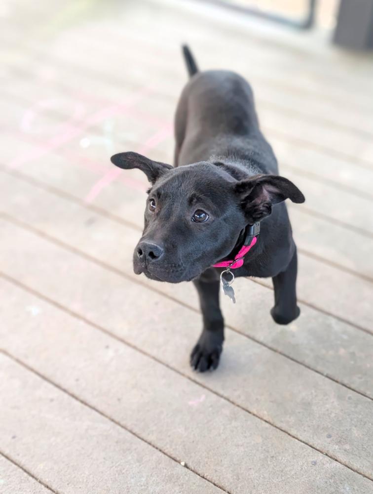 Zoey Golden — thumbnail 3