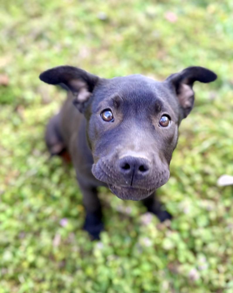 Zoey Golden — thumbnail 4