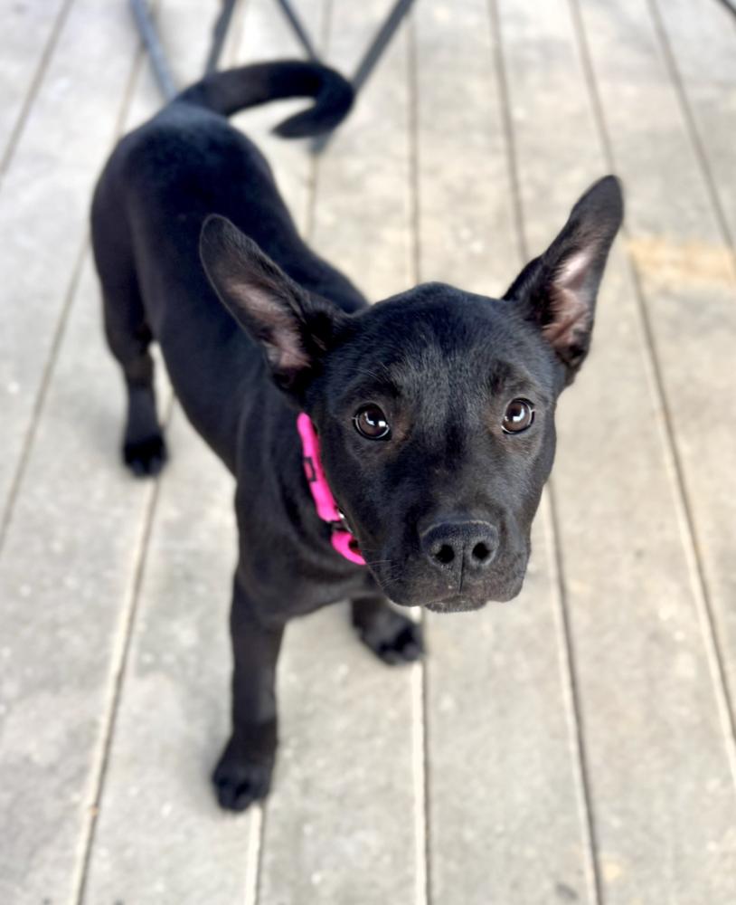 Zoey Golden — thumbnail 5