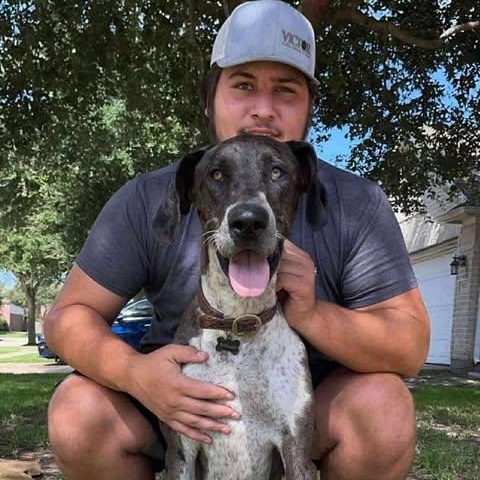 Enlarge Dallas, a Adoptable mixed breed in Toledo, OH image 3/5