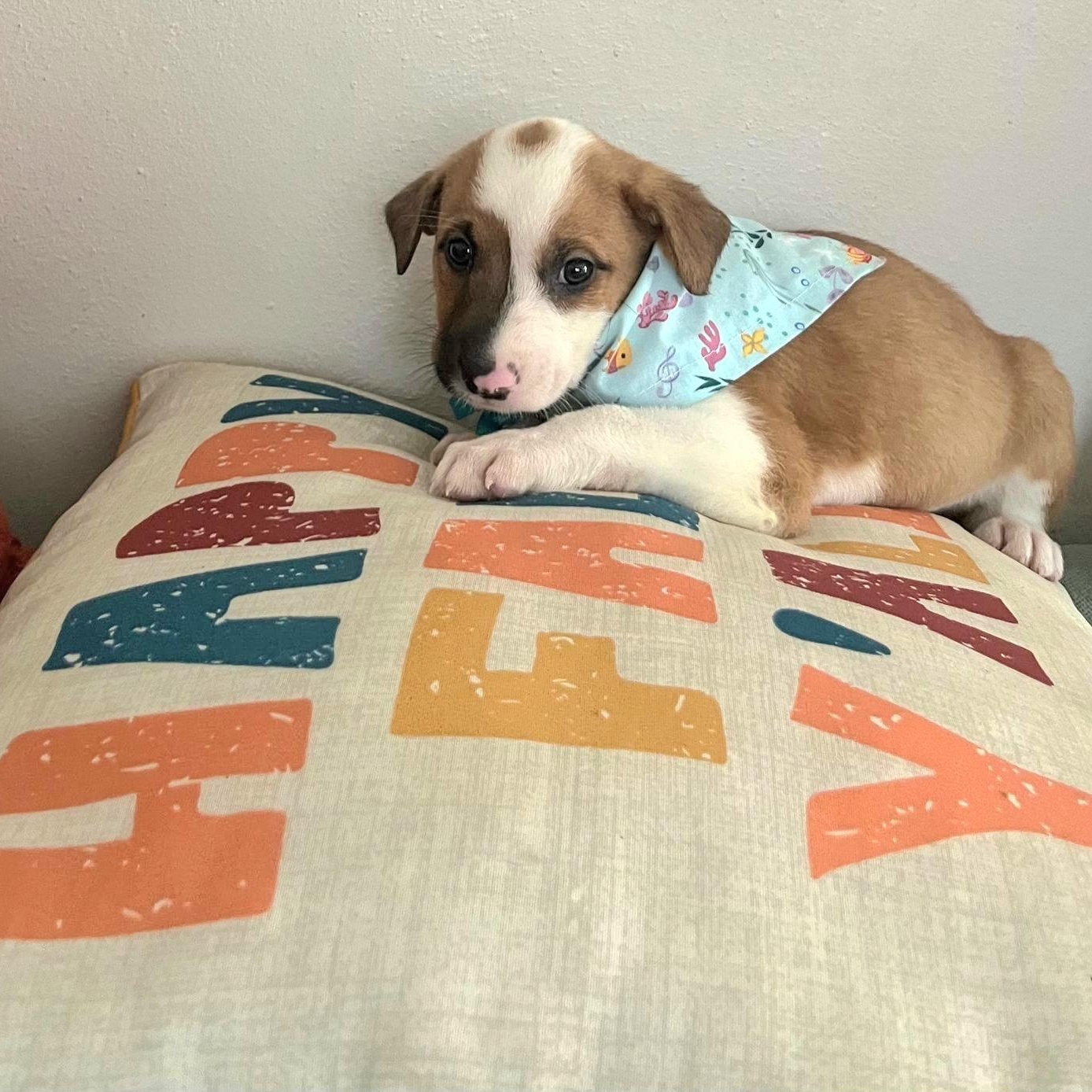 Honda "i Will Be thumbnail 2