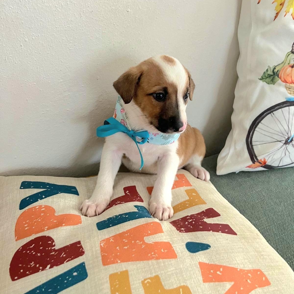 Honda "i Will Be thumbnail 5