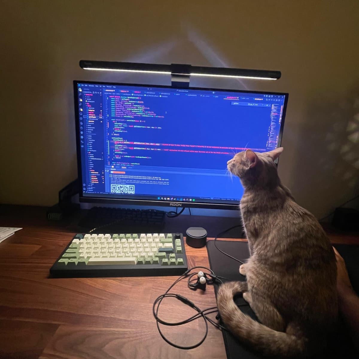 Enlarge Dahlia, a Adopted Domestic Short Hair in Astoria, NY image 6/6